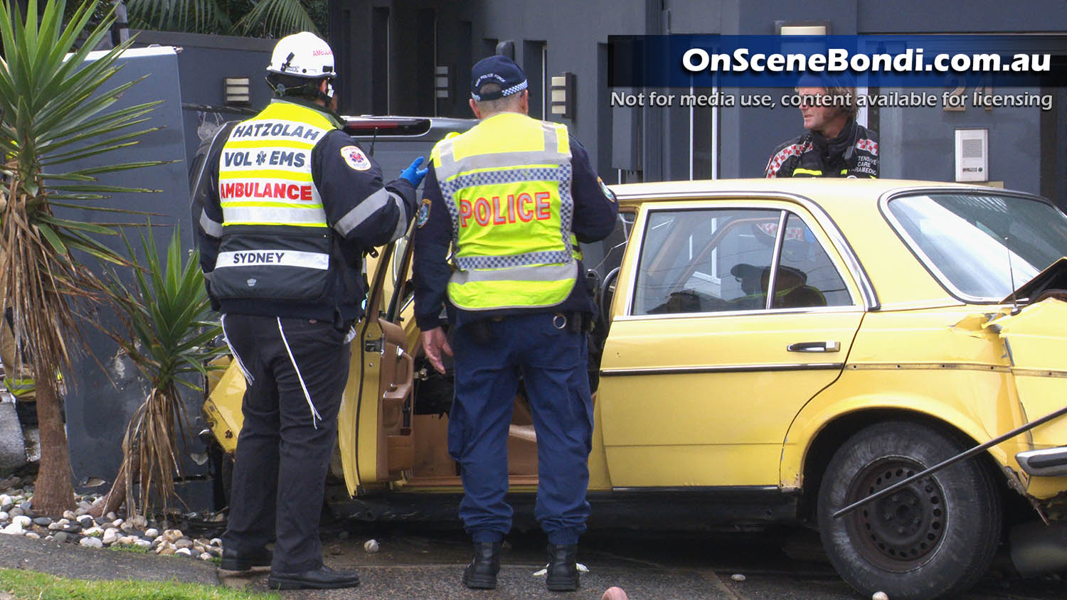 Man dies after car crash in Dover Heights