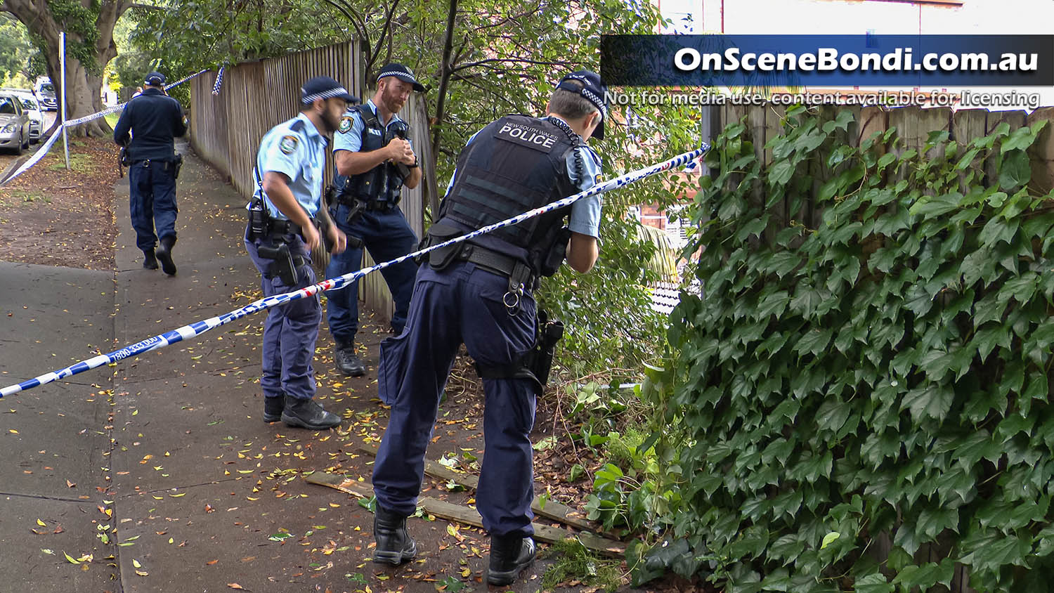 20201031 bellevue hill crash 003