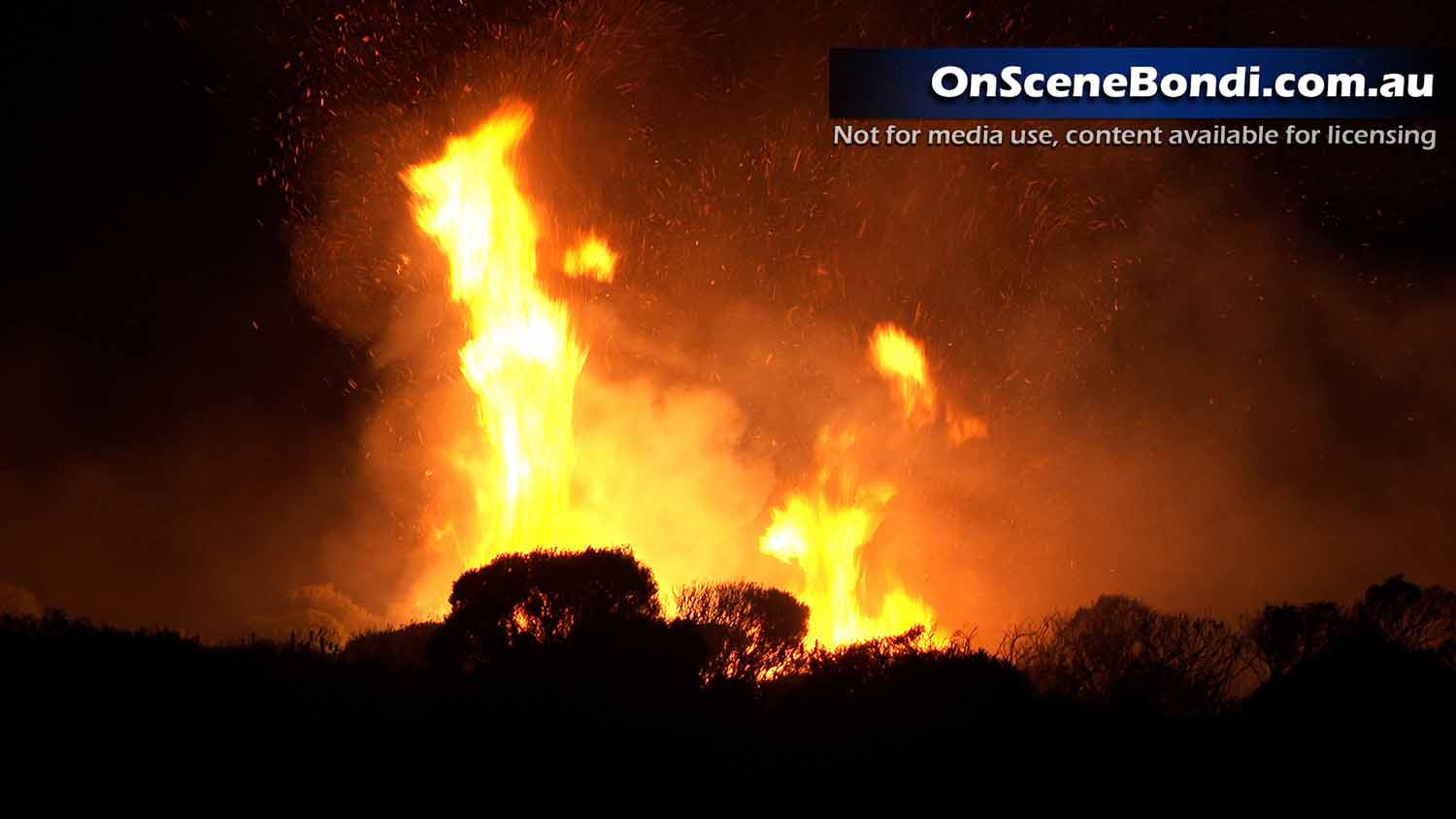 Police investigate suspicious bushfire in Malabar