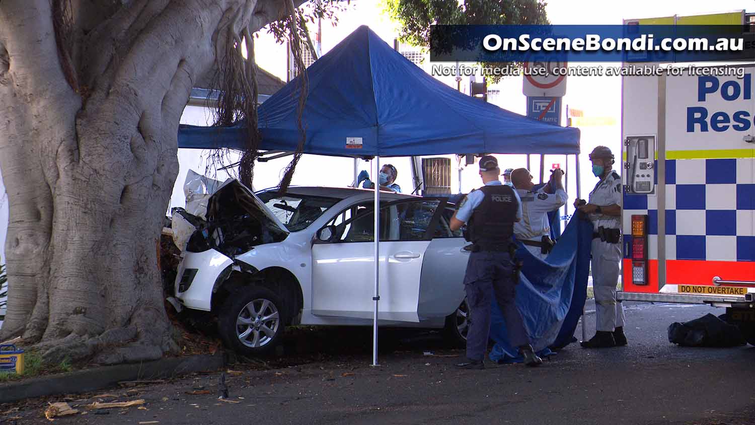 Woman dies after car crash in Queens Park and responding Police car crashes in Bondi Junction