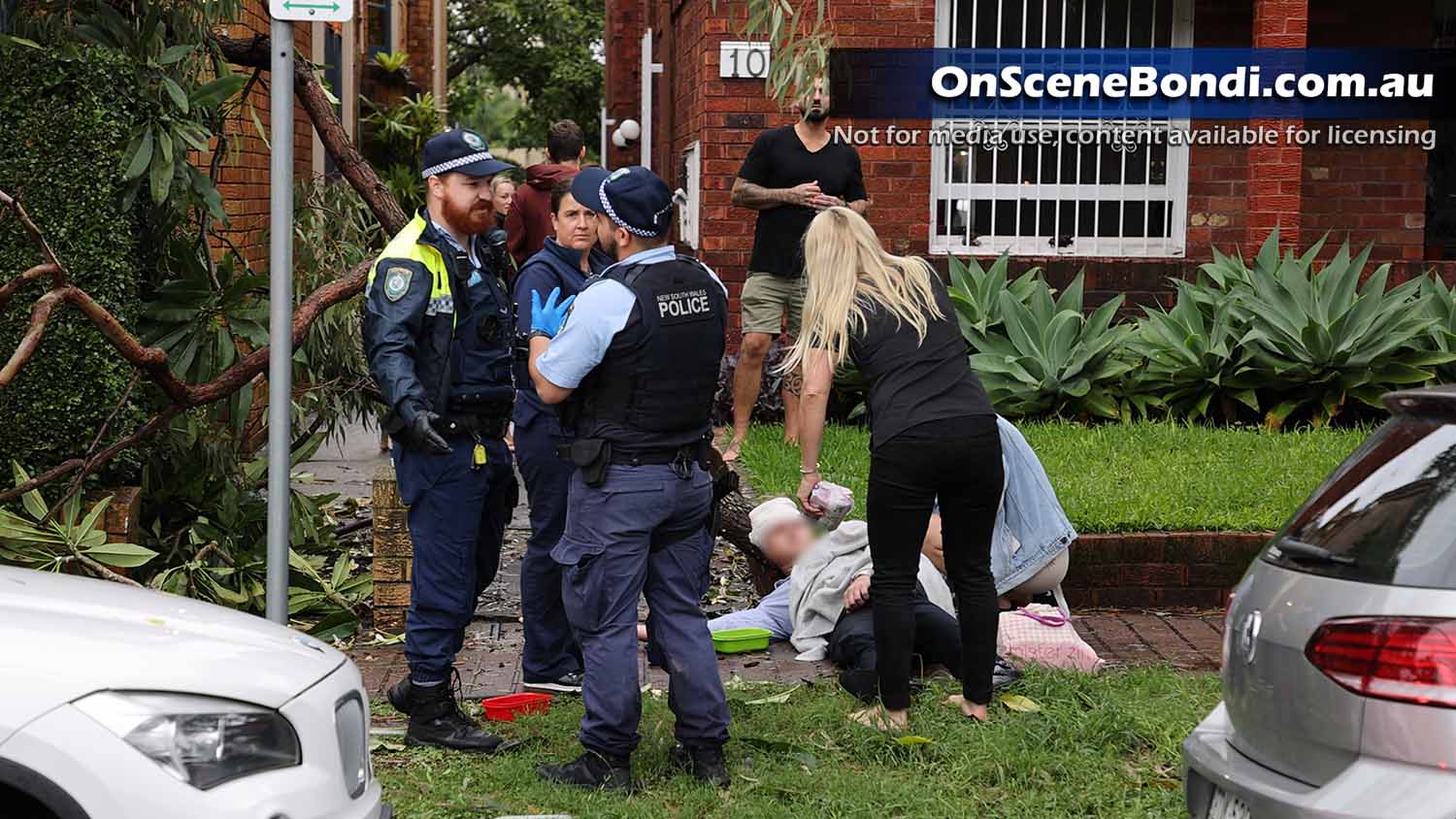 Tree branch collapses onto man in Rose Bay