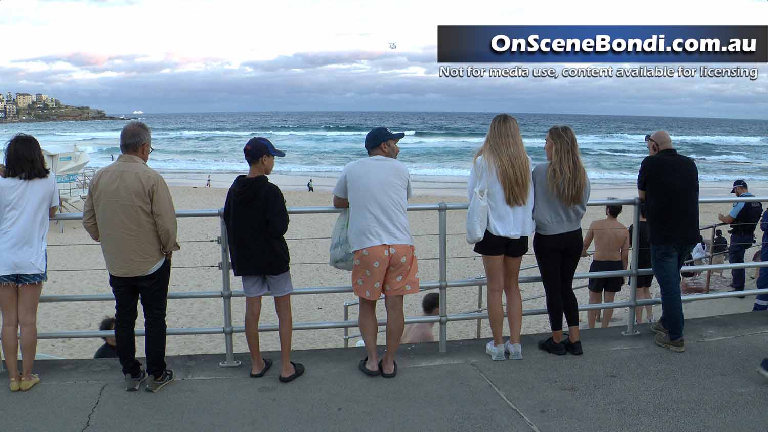 20230110 bondi rescue 002