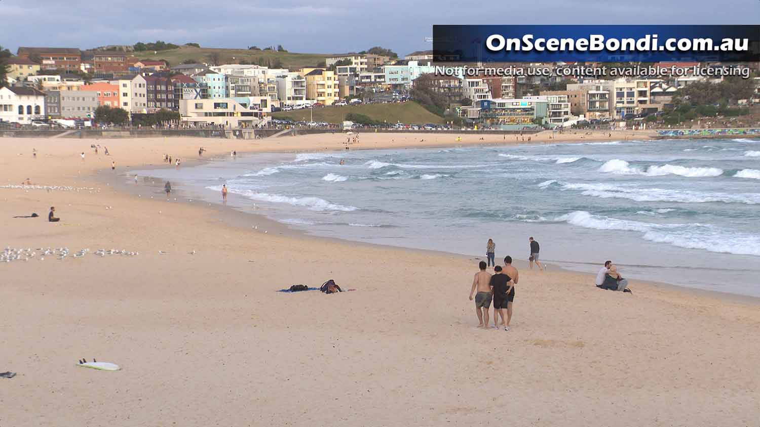 20230110 bondi rescue 002