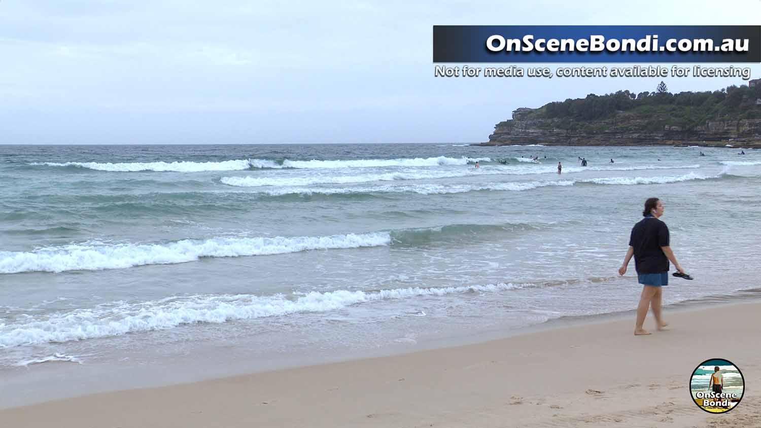 20240130 bondi rescue 002